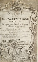 view Nuova, et utilissima prattica di tutto quello ch'al diligete barbiero s'appartiene : divisa in due librii ove si discorre del cavar sangue, medicar ferite, et balsamar corpi humani : del vero modo da farsi la scarificatione, gli opportuni tempi del salasso, e l'anatomia di esso sangue, con altri mirabili secreti, e figure / composta per Cintio d'Amato e per Tomaso Antonio Riccio.