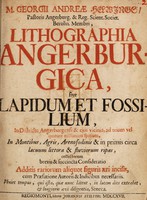 view Lithographia Angerburgica, sive lapidum et fossilium, in districtu Angerburgensi & ejus vicinia, ad trium vel quatuor milliarium spatium in montibus, agris, arenofodinis & in primis circa lacuum littora & fluviorum ripas, collectorum brevis & succincta considerato / [Georg Andrea Helwing].