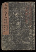 view MS Japanese 16