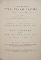 view Anatomia uteri humani gravidi tabulis illustrata ... The anatomy of the human gravid uterus exhibited in figures / [William Hunter].