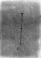 view M0000164: Michael Faraday's iron filings diagram