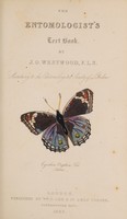 view The entomologist's text-book; an introduction to the natural history, structure, physiology and classification of insects, including the Crustacea and Arachnida / By J.O. Westwood.