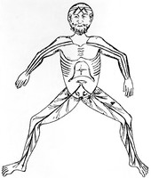 view M0000403: Male generative system, late 13th century, from Choulant: <i>History and bibliography of anatomic illustration</i>