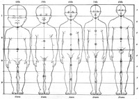 view M0000429: Male figures showing proportons in five ages.