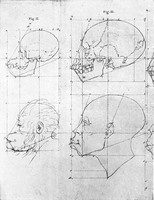 view M0000372: "Optic Angle in chimpanzee and Negro", from de Lint: <i>Atlas of the History of Medicine<i>.</i></i>