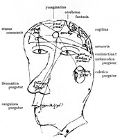 view M0000437: The brain, and ways of excretion of humours, from Singer: <i>Studies in the history and method of science</i>