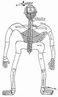 view M0000410: Skeleton, 14th century, from Choulant: <i>History and bibliography of anatomic illustration</i>