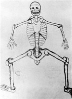 view M0000409: Anatomy; skeleton from a Dresden manuscript, from Choulant: <i>History and bibliography of anatomic illustration</i>