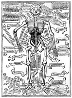 view M0000411: Skeleton by Richard Helain, 1493, from Choulant: <i>History and bibliography of anatomic illustration</i>