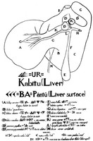 view M0000432: Sheeps liver diagram with modern anatomical and Babalonian terms, from Choulant: <i>History and bibliography of anatomic illustration</i>