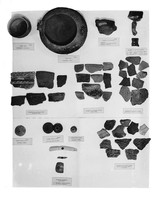 view M0001194: Display of Neolithic pottery