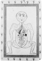 view M0000849: Persian anatomical figure, intestines, heart