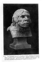 view M0001111: Bust of the Neanderthal man of La Chapelle-aux-Saints, France