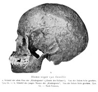 view M0001139: Young man's skull from the "children's grotto"