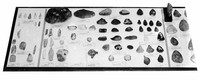 view M0001185: display case of stones and minerals