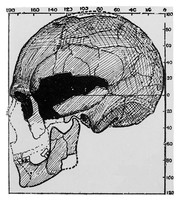 view M0001122: The Halling Skull: side view with measurements