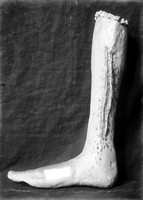 view M0001508: Photograph of a wax ex-voto of human leg and foot