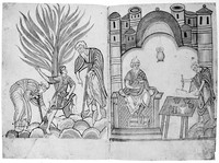 view M0001305: Reproduction of a double-page illustration from an unknown 13th century medical herbal