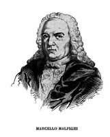 view M0001310: Reproduction of a portrait of Marcello Malpighi (1628-1694), Italian biologist and physician