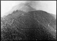 view M0001629: Photograph of the view of a a ridge covered with Cinchona ledgeriana at Munsong plantation, India