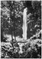 view M0001601: Photograph depicting a "virgin" forest featuring a bridge and waterfall, in Java