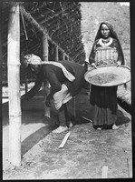 view M0001630: Photograph of two plantation workers sowing Cinchona seed, in a nursery bed, on Munsong plantation