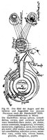 view M0001661: Reproduction of an illustration (fig. 10) of the anatomy of the eye by Johann Peckham or John Peckham (d.1292) from a journal article