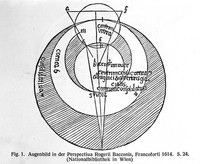 view M0001653: Reproduction of an illustration (fig. 1) of the anatomy and physiology of the eye from a manuscript by Roger Bacon (1214?-1294) from a journal article
