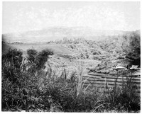 view M0001565: Photograph of the view over the Tankuban Prahu and the Cinchona districts in Java, Indonesia