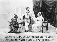 view M0001462: Reproduction of an oil painting depicting Doña Francisca Henriquez Ribera, Countess of Chinchón, being given a Peruvian remedy (bark of the tree subseqently called cinchona) to cure her intermittent fever