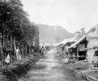 view M0001562: Damaged negative of a photograph of plantation workers in the Cinchona (succirubra) plantation in Java, with their encampment on the right-hand side