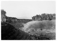view M0001603: Photograph depicting a cleared field terraced to avoid the washing-away of the fertile top-soil by tropical rainfall