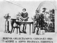 view M0001461: Reproduction of an oil painting depicting the count of Chinchón, Peru, purchasing a febrifuge, or medicine used to reduce fever