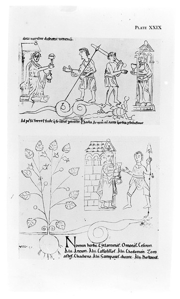 M0001904: Reproduction of a photograph of Kenyan medicine men in ceremonial dress and an illustration of "The worm in Saxon medicine"