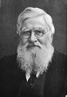 view M0002299: Reproduction of a photographic portrait of Alfred Russel Wallace (1823-1913), British naturalist, explorer, anthropologist and biologist