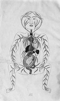view M0002676: Anatomical illustration showing a human fetus in utero from <i>Tashrih-i Mansuri</i>