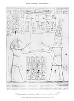 view M0002691: Carved wall depicting Thoth and Amon holding Hatshepsu and her double