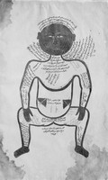 view M0002679: Anatomical illustration showing muscles of the human body from <i>Tashrih-i Mansuri</i>