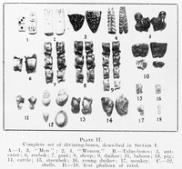 view M0002707: A set of divining bones / M0002707EB: "Instruments and medicine containers"