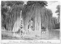 view M0002420: Dr. John Coakley Lettsom's Fountain and Cottage, Camberwell Grove, Surrey.
