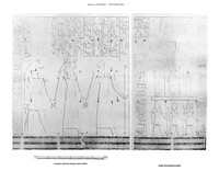 view M0002689: Carved wall depicting Aahmes led by Khnum and Heqet and Gods following Amon