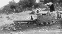 view M0003250: A woman bringing water up from a well