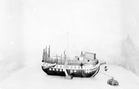 view M0003388: Diorama of quarantine boat