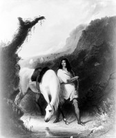 view M0003444: Sir William Drummond Stewart and a white horse