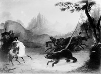 view M0003443: Sir William Drummond Stewart hunting a bear on a white horse