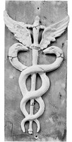 view M0003440: Plaster cast of caduceus