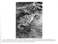 view M0003447EA: Skeleton No. A8 at Quincy, Illinois in situ / M0003447EB: Tibias and fibulas of skeletons from Quincy, Illinois