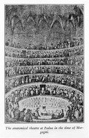 view M0003813: Interior of the Anatomical Theatre in Padua, Italy