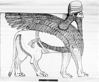 view M0004411: Drawing of winged lion