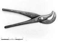 view M0004668: Forceps